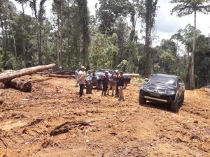 DPRD Provinsi Bengkulu Sidak PT di Mukomuko, Curigai Adanya Aktivitas Penebangan Kayu Tak Berizin