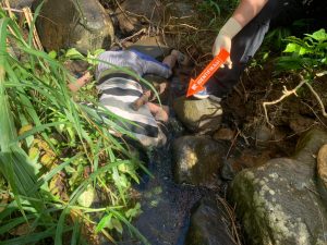 Pamit Pergi Mancing, Warga Desa Air Pesi Ditemukan Tewas