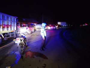 Usai Ditebang Pohon Digunung Tak Mau Roboh, Arus Lalu Lintas Macet Total