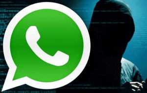 Waspada Modus Penipuan Baru Via WhatsApp, Ini Pesan Kabid Humas Polda Bengkulu