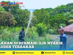 Lahan Di Bermani Ilir Nyaris Ludes Terbakar
