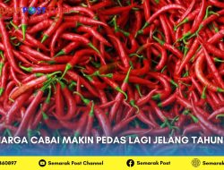 Harga Cabai Makin Pedas Lagi Jelang Tahun Baru