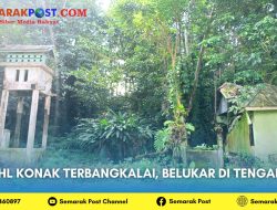 HL Konak Terbangkalai, Belukar di Tengah Kota