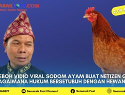 Heboh Vidio Viral Sodom Ayam Buat Netizen Geram, Bagaimana Hukum Bersetubuh Dengan Hewan?