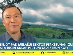 Genjot PAD Melalui Sektor Perkebunan, Zurdi Nata Ingin Sulap PT. TUM Jadi Kebun Kopi