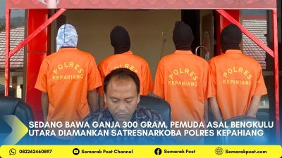 Sedang Bawa Ganja 300 gram, Pemuda Asal Bengkulu Utara Diamankan Satresnarkoba Polres Kepahiang