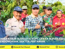 Lomba Kebun Budidaya Kopi, Upaya Bupati Kepahiang Mendongkrak Sektor Pertanian
