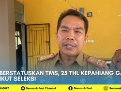 Berstatuskan TMS, 25 THL Kepahiang Gagal Ikut Seleksi
