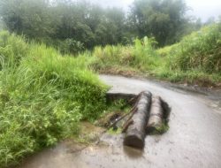 Nyaris Putus! Jalan Rusak di Desa Karang Endah Akan Dibangun Secara Swadaya