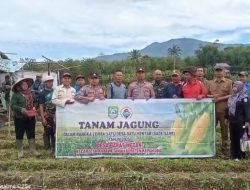 Dukung SADESAHE Program Pemerintah Pusat, Pemdes Barat wetan laksanakan penanaman Jagung
