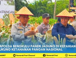Kapolda Bengkulu Panen Jagung di Kepahiang, Dukung Ketahanan Pangan Nasional