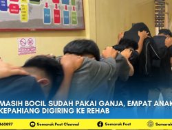 Masih Bocil Sudah Pakai Ganja, Empat Anak Kepahiang Digiring ke Rehab