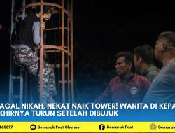 Gagal Nikah, Nekat Naik Tower! Wanita di Kepahiang Akhirnya Turun Setelah Dibujuk