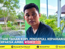 Petani Tahan Kopi, Pengefull Kepahiang Terpaksa Ambil Risiko