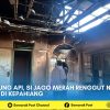 Terkepung Api, Si Jago Merah Renggut Nyawa Lansia di Kepahiang