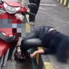 Diduga Tak Kuasa Hadapi Masalah Asmara, Janda Muda Kepahiang Teguk Racun Rumput
